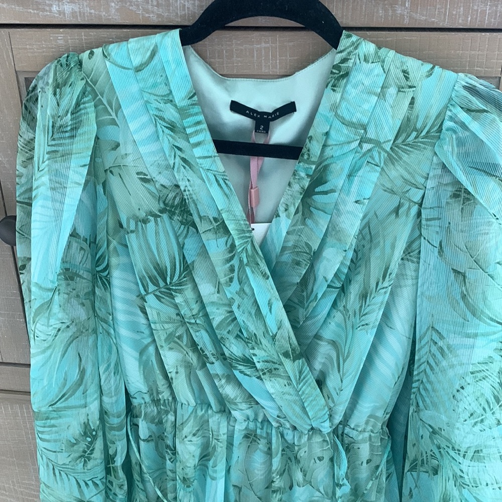 Alex Marie Maxi Ruffle Dress - Picture 5 of 9